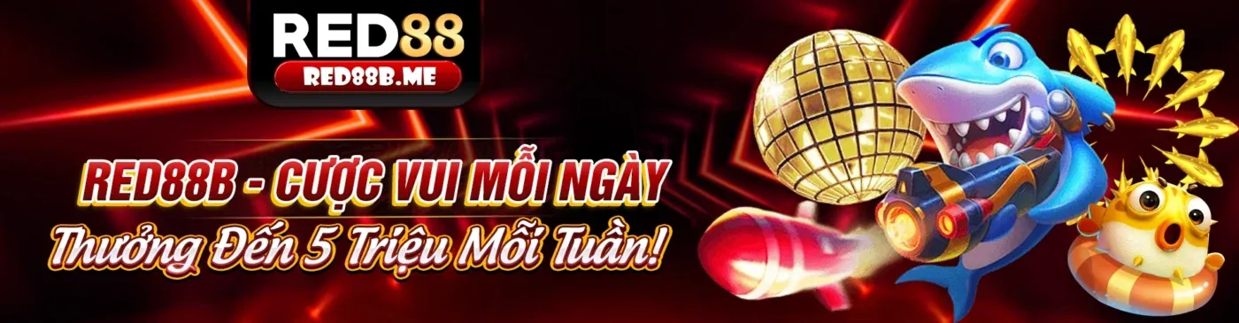 Hình ảnh đại lý Fun88 VIP thành công