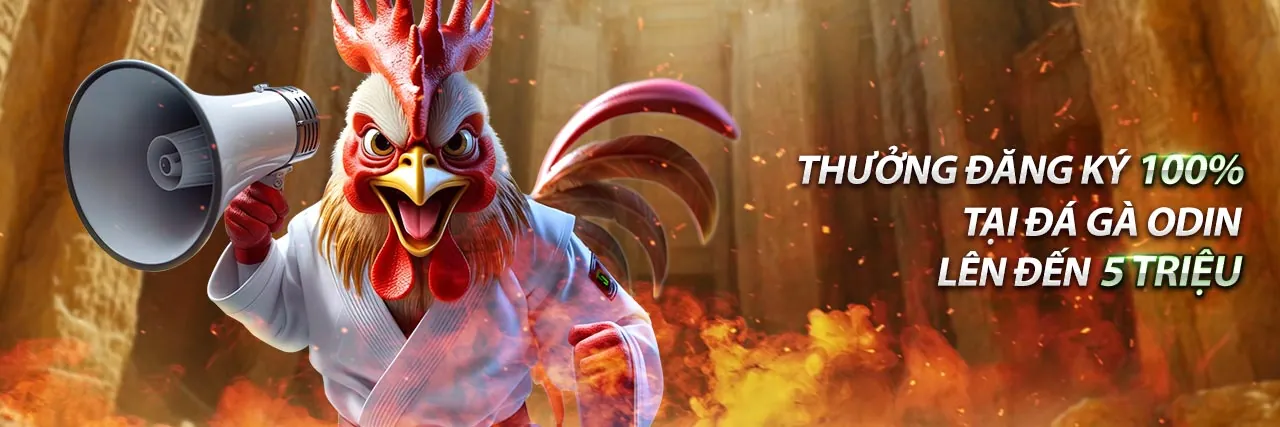 Hình ảnh Đá gà trực tuyến Fun88