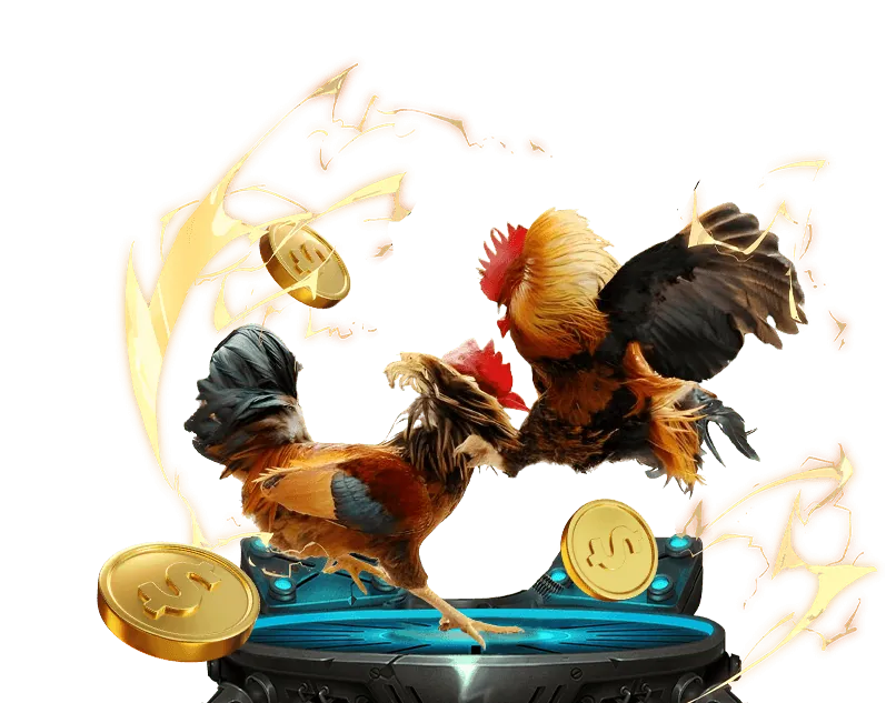 Ông Trương - Đại lý Fun88 VIP thành công